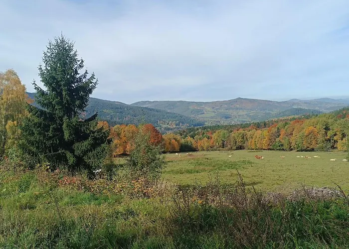 Apalupa Na Hojsovce *